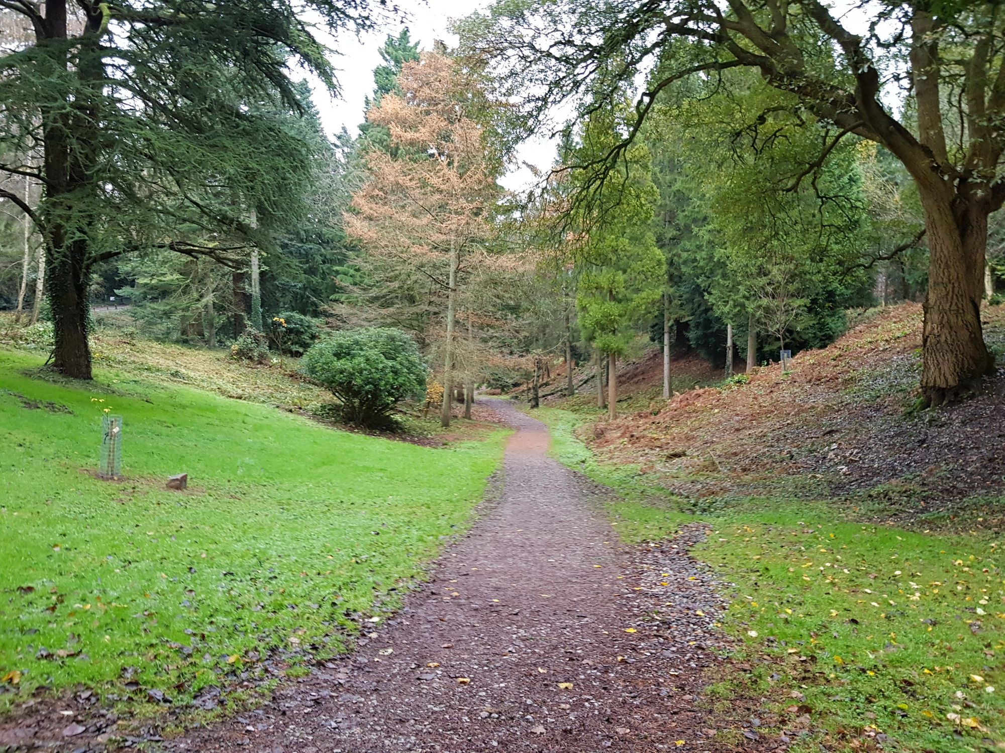 Leigh Woods Circular - Friday Route Recommendation