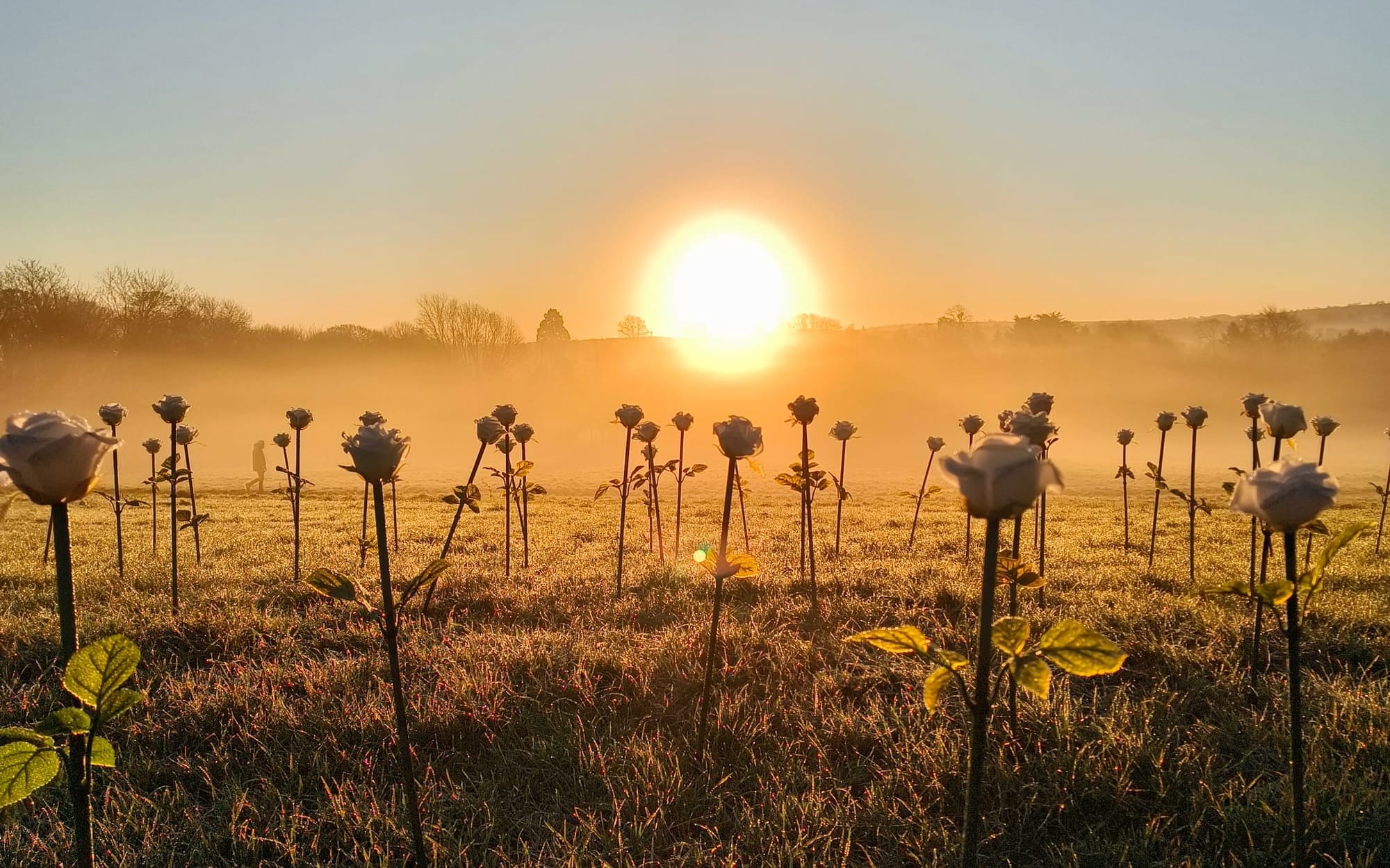 Off Season & The Ona Series