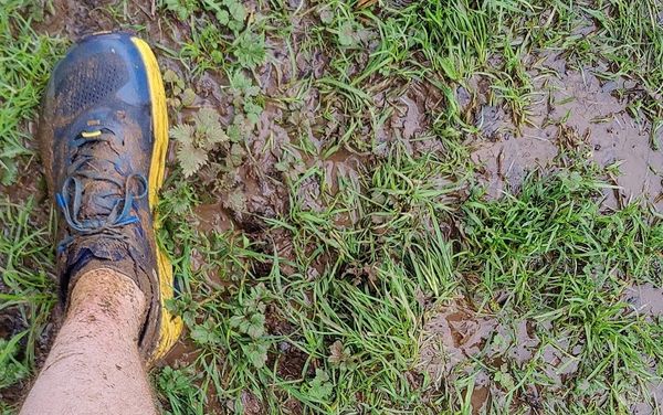 Altra Olympus 5 - 180K Review