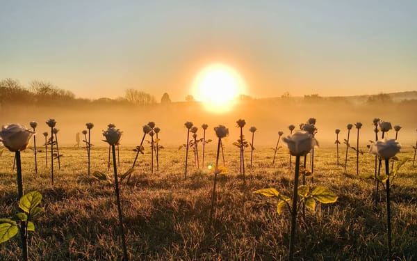 Off Season & The Ona Series